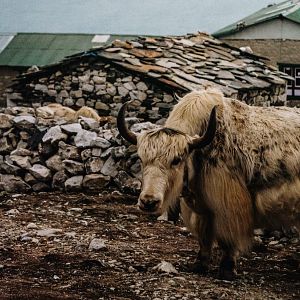 Bilder Together Free