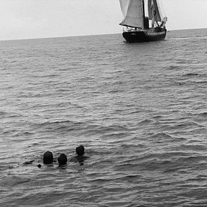 Bilder 20.000 Meilen unter dem Meer