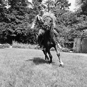 Bilder Mehdi El Glaoui