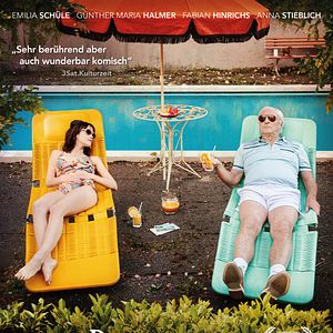 Bilder Die Vergesslichkeit der Eichhörnchen