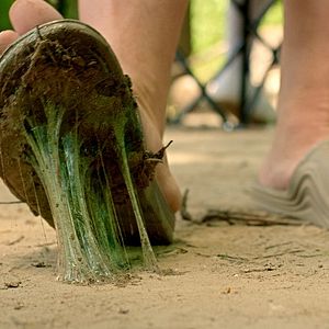 Bilder Scare Package