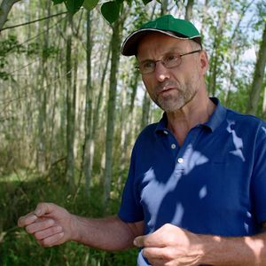 Bilder Wurzeln des Überlebens