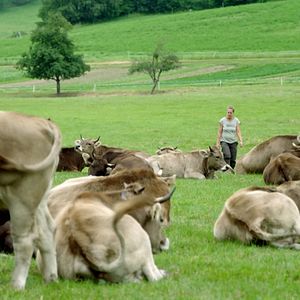 Bilder Wurzeln des Überlebens