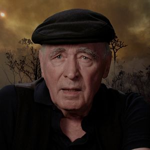 Bilder Wurzeln des Überlebens