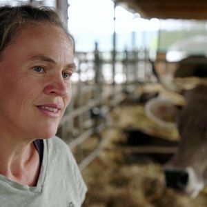 Bilder Wurzeln des Überlebens