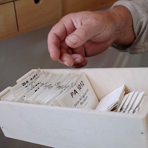 Bilder Wurzeln des Überlebens