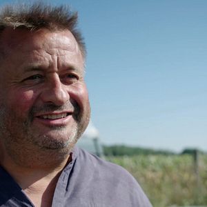 Bilder Wurzeln des Überlebens