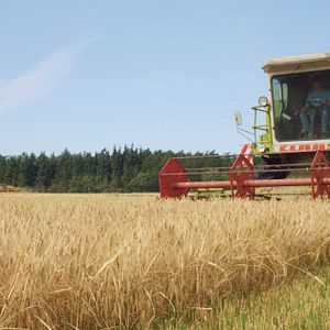 Bilder Born For Korn