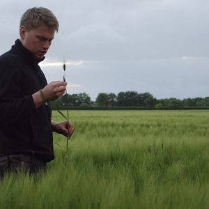 Bilder Born For Korn