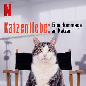 Bilder Katzenliebe: Eine Hommage an Katzen