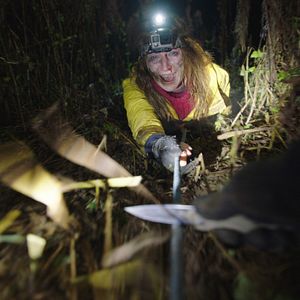 Bilder The Widow - Die Legende der Witwe