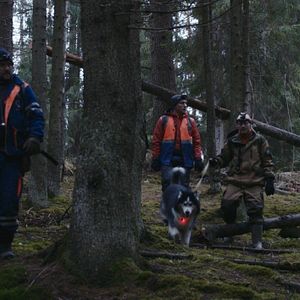 Bilder The Widow - Die Legende der Witwe