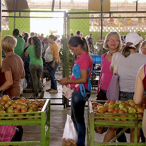 Bilder Homo Communis - wir für alle