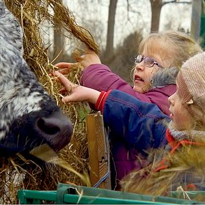 Bilder Homo Communis - wir für alle