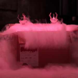 Bilder Benny Loves You