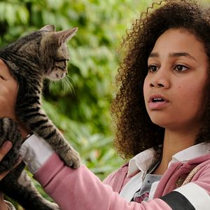 Bilder Upside-Down Magic