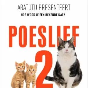 Bilder Katzenliebe: Eine Hommage an Katzen 2