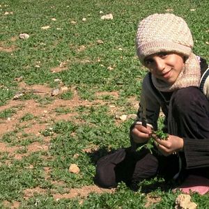 Bilder Little Palestine, Diary of a Siege