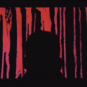 Bilder Fabien Carrabin