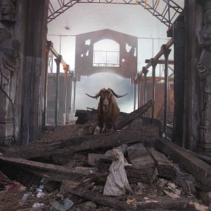 Bilder Somewhere in Palilula