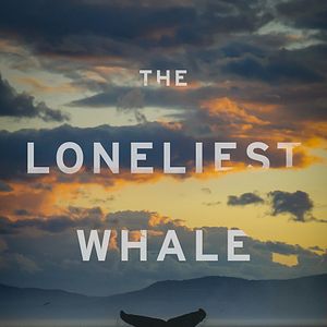 Bilder The Loneliest Whale: The Search For 52