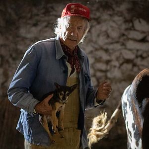 Bilder Patrick Chesnais