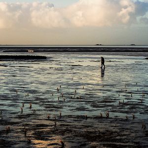 Bilder Der Atem des Meeres