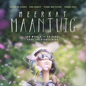 Bilder Erdmännchen und Mondrakete