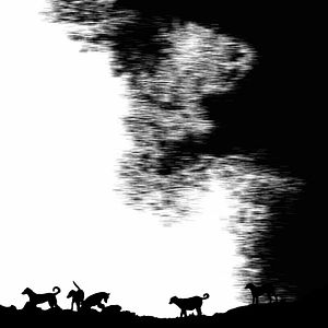 Bilder Life Of A Mutt