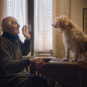 Bilder The Truffle Hunters