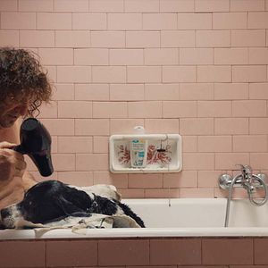 Bilder The Truffle Hunters