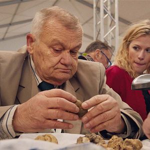 Bilder The Truffle Hunters