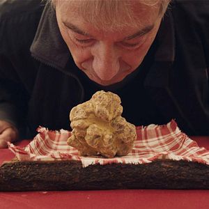 Bilder The Truffle Hunters
