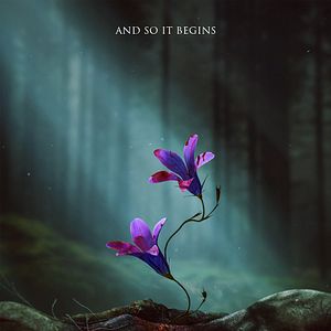 Bilder Kingdom: Ashin of the North