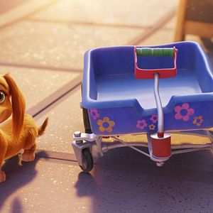 Bilder Paw Patrol: Der Kinofilm