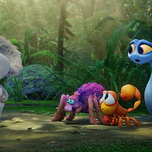 Bilder Zurück ins Outback