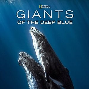 Bilder Giants Of The Deep Blue