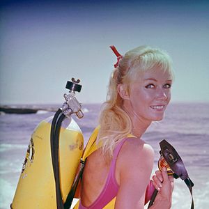 Bilder Valerie Taylor