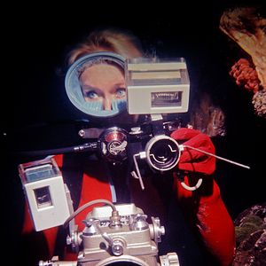 Bilder Valerie Taylor