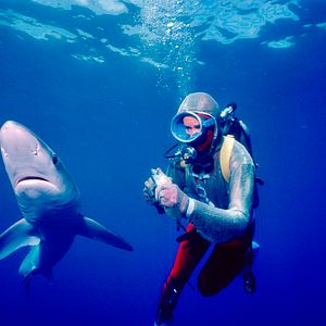 Bilder Valerie Taylor