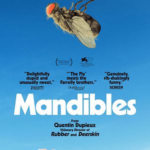 Bilder Eine Fliege kommt selten allein