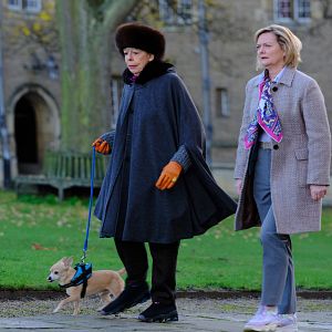 Bilder Professor T. (2021)