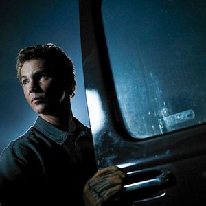 Bilder Animal Kingdom