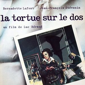 Bilder Die Schildkröte auf dem Rücken