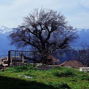 Bilder Mariner of the Mountains