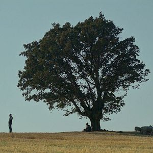 Bilder Bağlılık Hasan