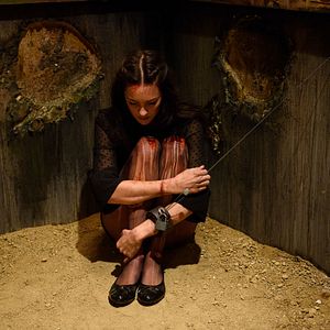 Bilder Alexandra Evans