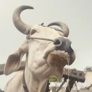 Bilder Invisible Demons