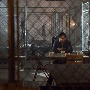 Bilder Josh McDermitt