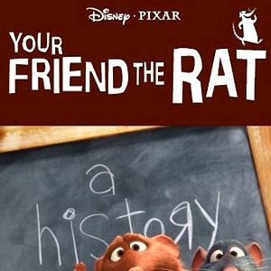 Bilder Dein Freund, die Ratte